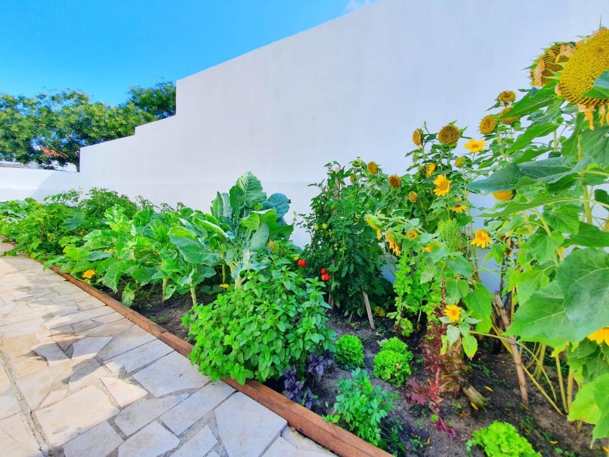 Casa vacanze Sitio Nazaré
